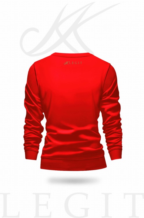 bluza klasyczna_3_back.jpg