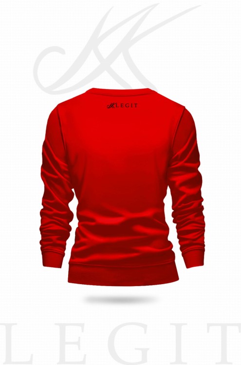 bluza_12_back.jpg